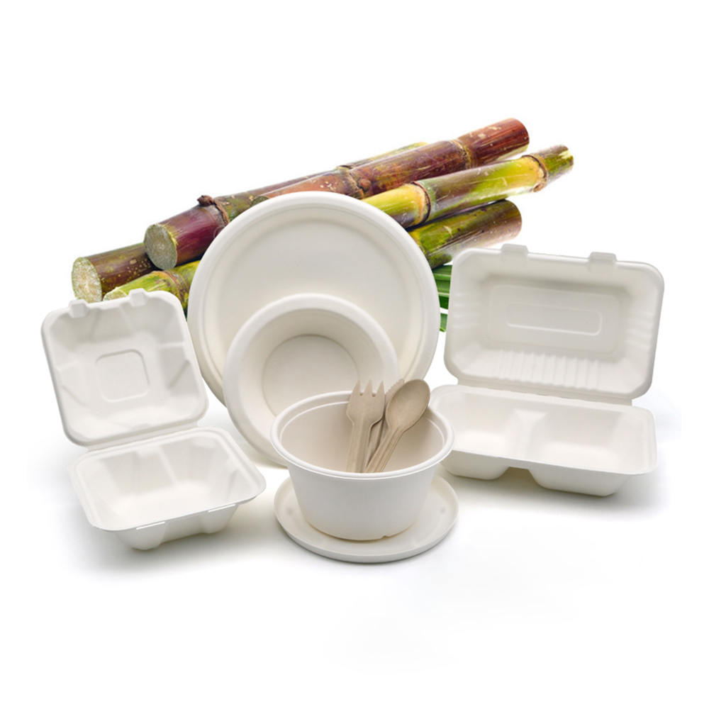 Bagaase tableware