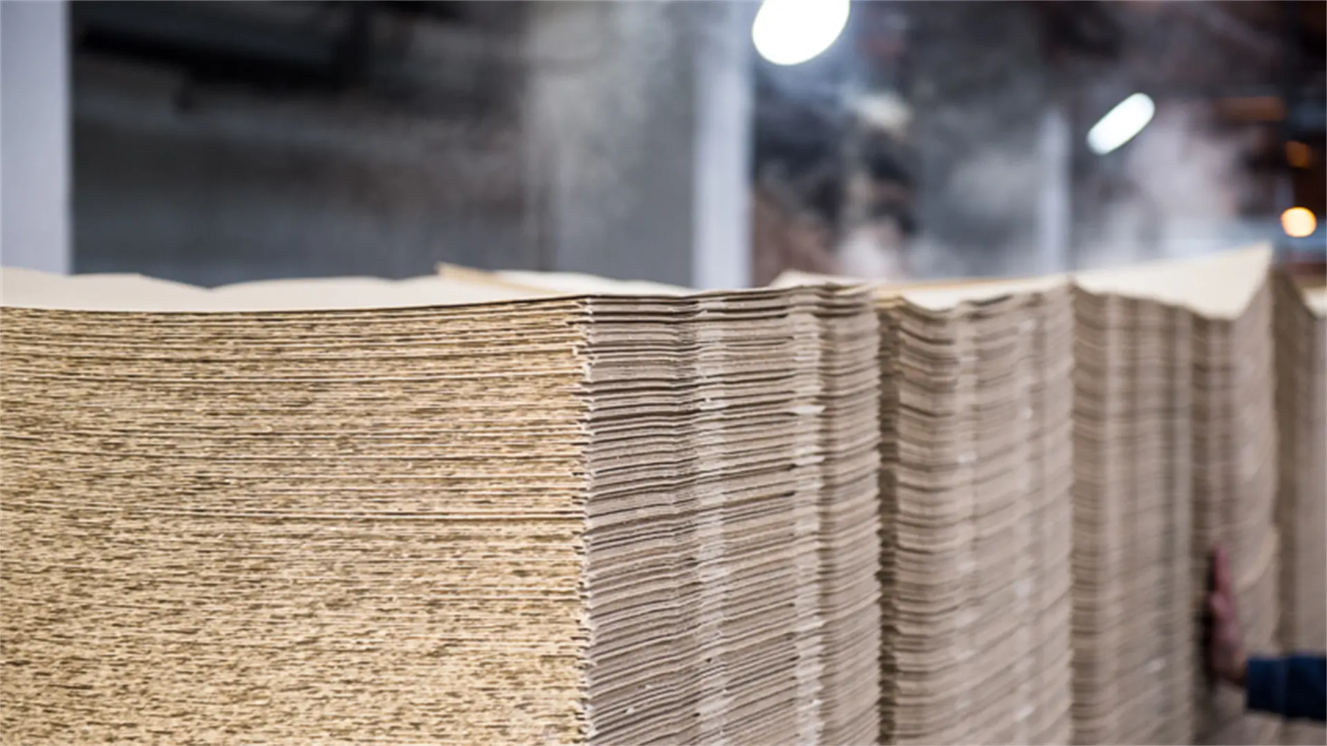 Bamboo pulp board formed as an intermediate material in step 5 of the bamboo tissue manufacturing process