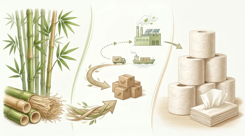 Bambus-Toilettenpapier und natürliche Bambusfasern zur Veranschaulichung der Bedeutung von Bio-Toilettenpapier