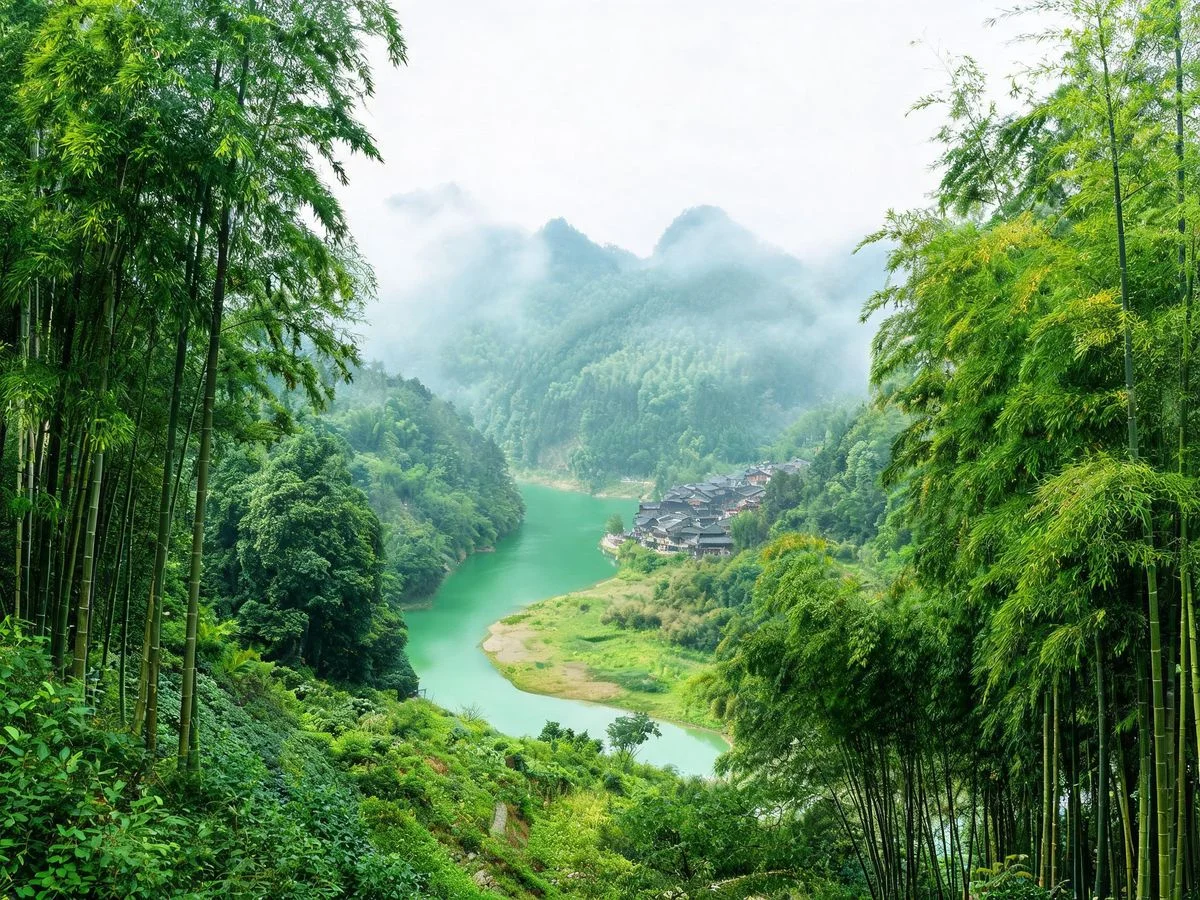 Bamboo forest landscape